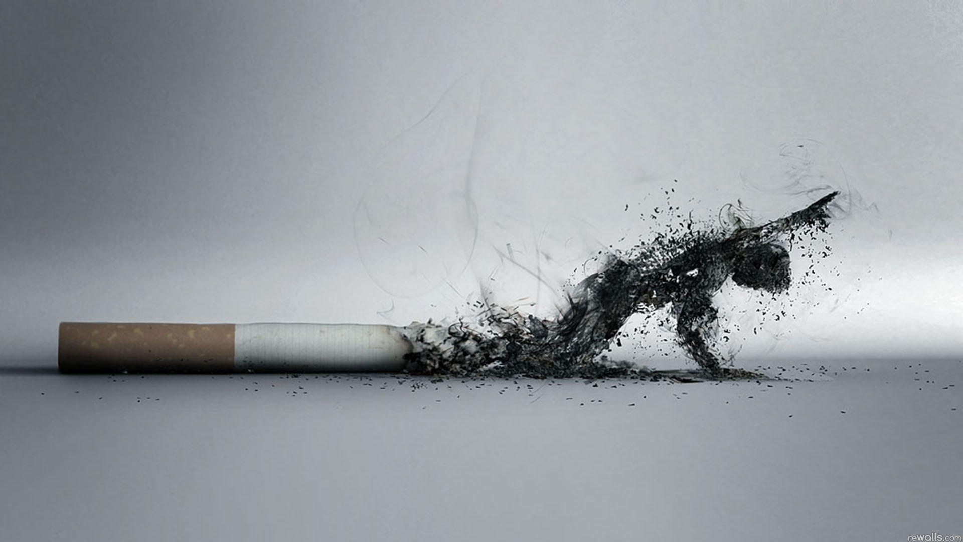 Cigarette Sidebar: Smoking and Multiple Sclerosis